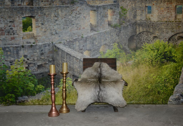 Edle Niederländische Landziege Hobby Beruf Deko (öko)